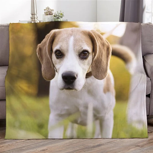 Personalized Pet Blanket