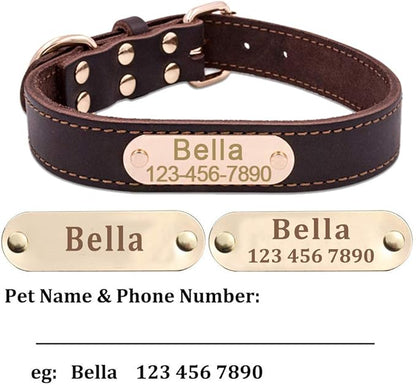 Personalized Leather Dog Collar with Engraved Nameplate