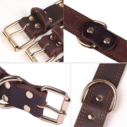 Personalized Leather Dog Collar with Engraved Nameplate