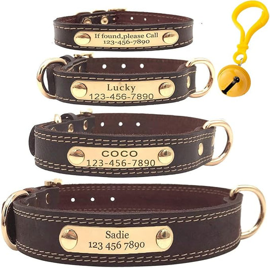 Personalized Leather Dog Collar with Engraved Nameplate