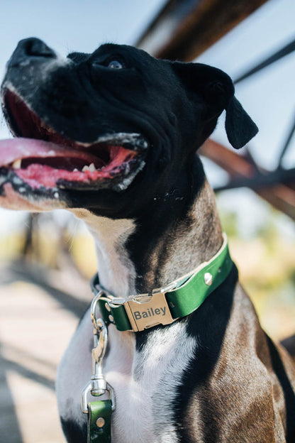 Personalized Engraved Leather Dog Collar