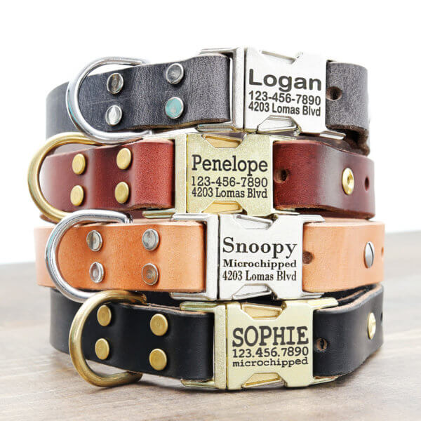 Personalized Engraved Leather Dog Collar