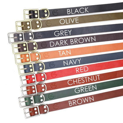 Personalized Engraved Leather Dog Collar