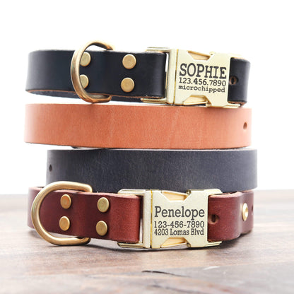 Personalized Engraved Leather Dog Collar